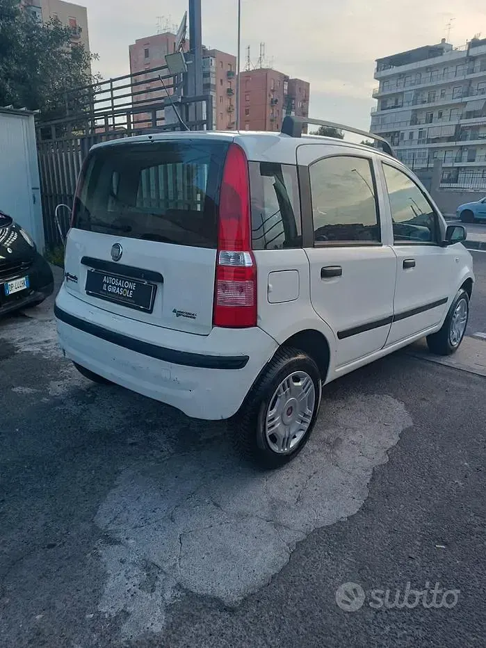 Usata Fiat Panda Dynamic 60 CV (44 kW) 2007 Bianco Utilitaria