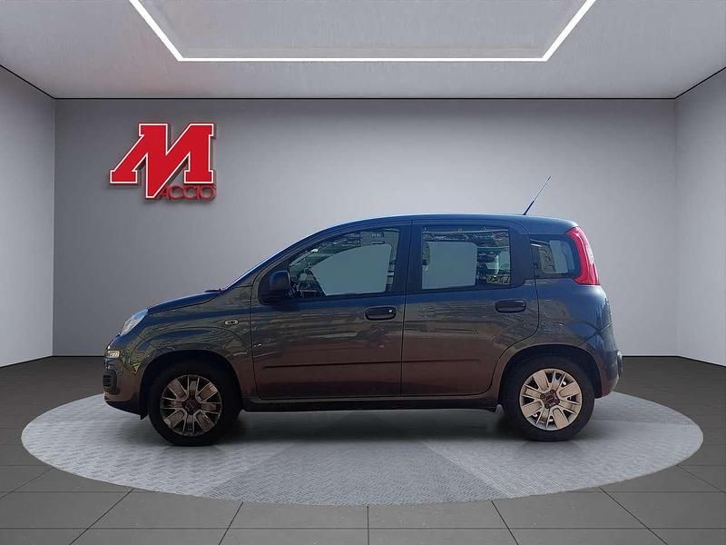 Usata Fiat Panda Easy 86 CV (63 kW) 2017 Grigio Utilitaria