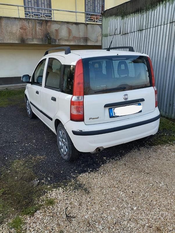 Usata Fiat Panda 54 CV (39 kW) 2009 Bianco Utilitaria