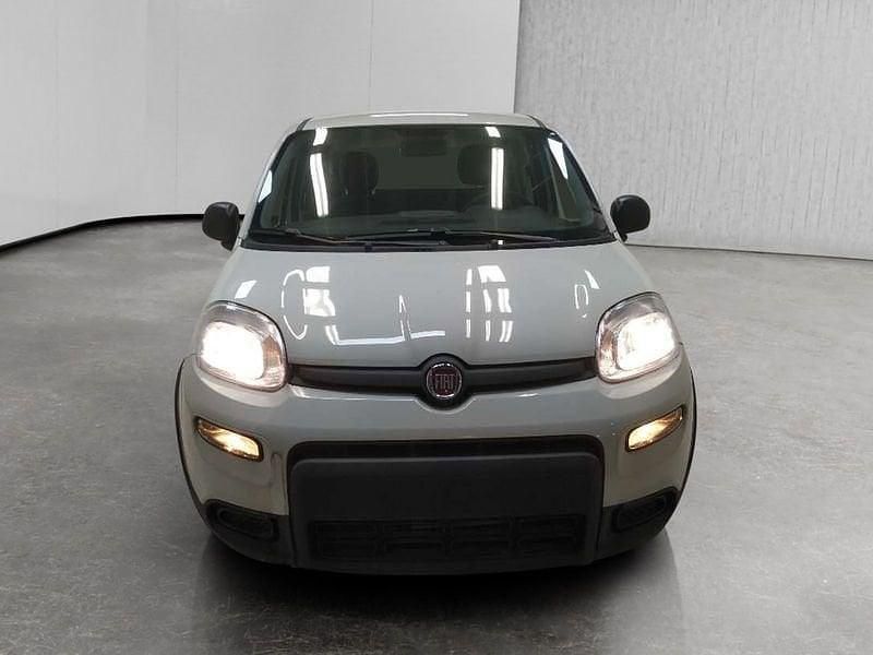 Usata Fiat Panda S 70 CV (51 kW) 2024 Bianco Utilitaria