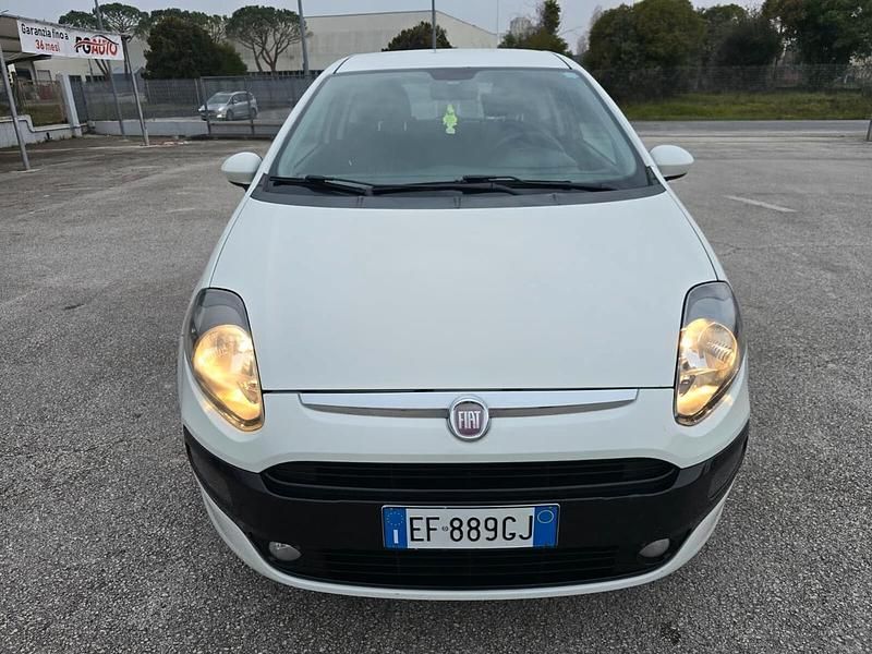 Usata Fiat Punto Evo Active 69 CV (50 kW) 2011 Bianco Utilitaria