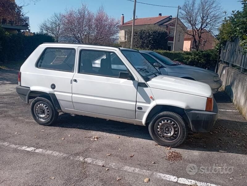 Usata Fiat Panda 34 CV (25 kW) 1998 Bianco Utilitaria