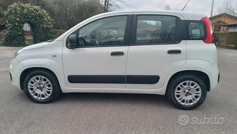 Usata Fiat Panda 2018 Bianco Utilitaria