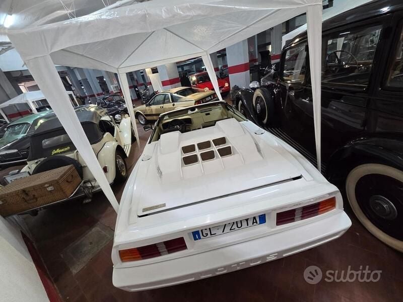Usata Lotus Esprit 165 CV (121 kW) 1982 Bianco Coupé