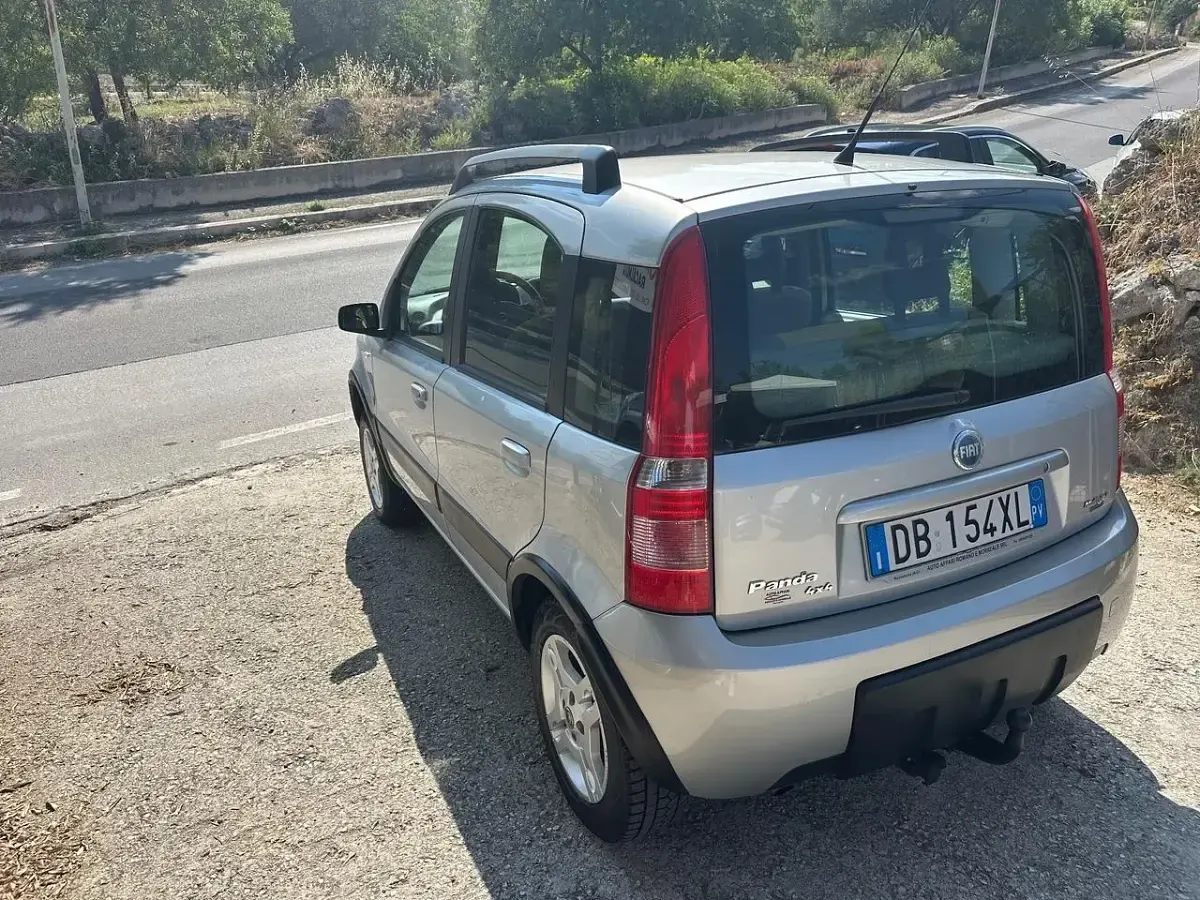 Usata Fiat Panda 4x4 Climbing 69 CV (50 kW) 2006 Grigio Utilitaria