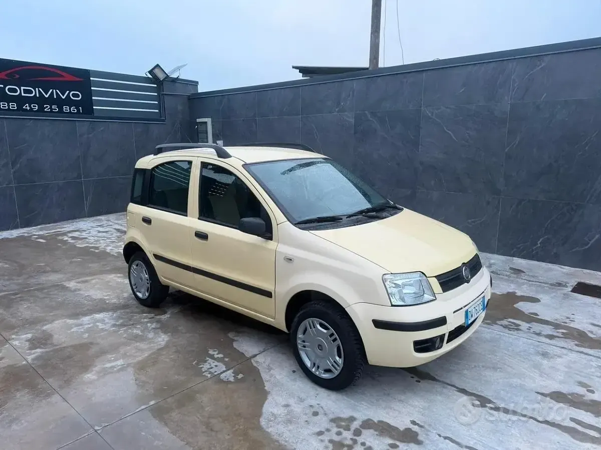 Usata Fiat Panda Dynamic 60 CV (44 kW) 2009 Giallo Utilitaria