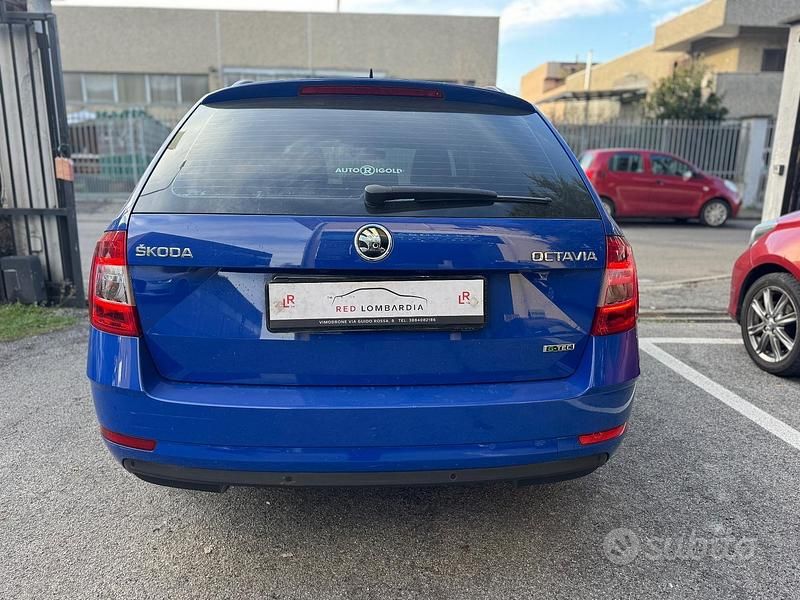 Usata Skoda Octavia G-TEC Ambition 130 CV (95 kW) 2020 Blu Station wagon