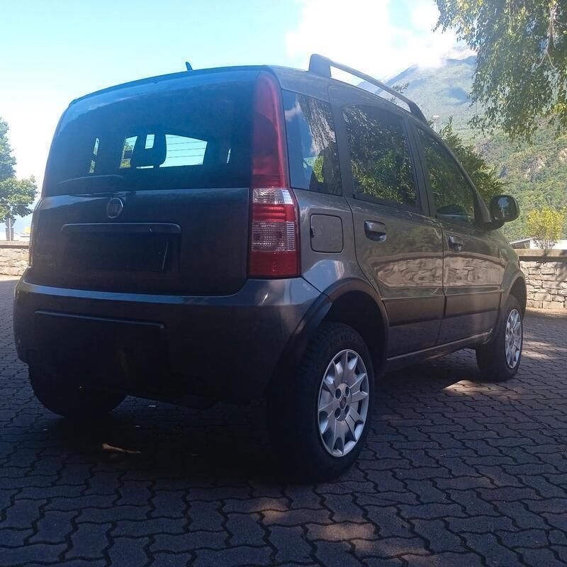 Usata Fiat Panda 4x4 Climbing 75 CV (55 kW) 2011 Grigio Utilitaria
