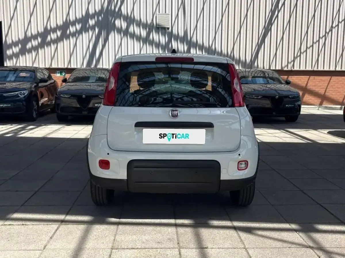 Usata Fiat Panda S 69 CV (50 kW) 2024 Bianco Utilitaria