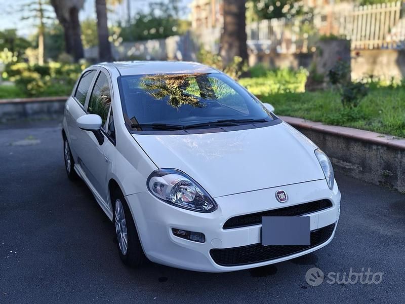 Usata Fiat Punto Lounge 85 CV (62 kW) 2015 Bianco Utilitaria