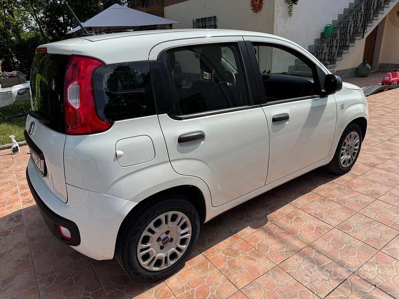 Usata Fiat Panda 2021 Utilitaria