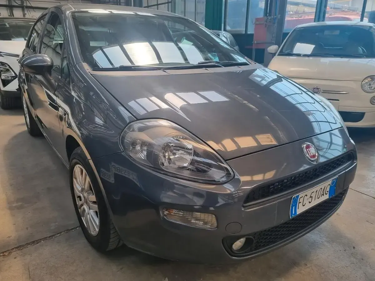 Usata Fiat Punto Lounge 69 CV (50 kW) 2015 Grigio Utilitaria