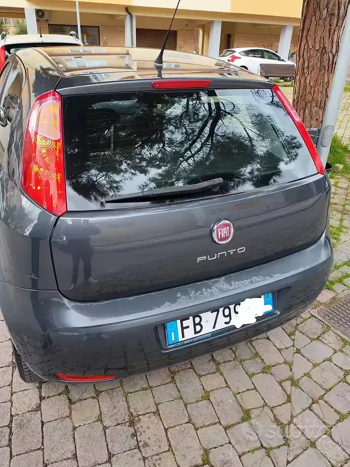 Usata Fiat Punto 77 CV (56 kW) 2015 Utilitaria