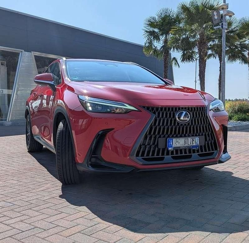 Usata Lexus NX350h Business Edition 190 CV (139 kW) 2024 Rosso SUV