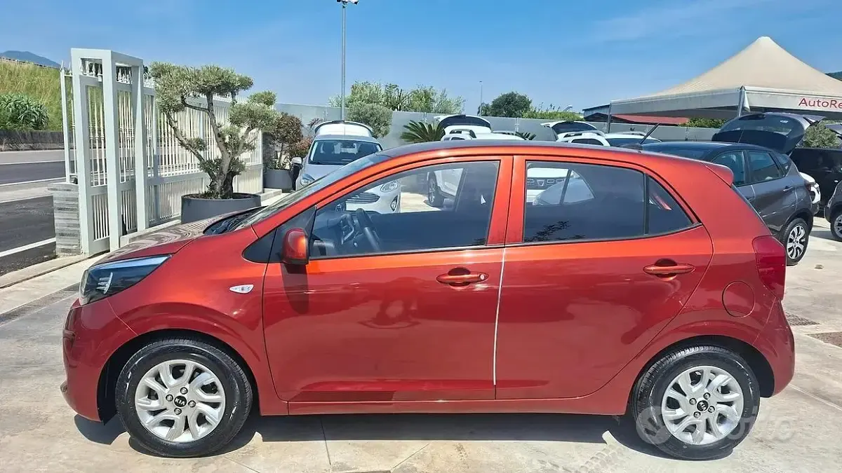 Usata Kia Picanto X-Line 67 CV (49 kW) 2023 Arancione Utilitaria