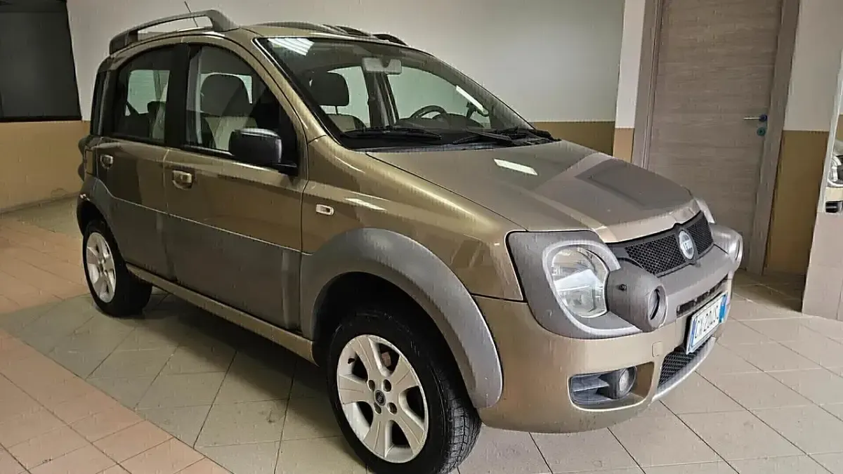 Usata Fiat Panda 4x4 69 CV (50 kW) 2005 Marrone Utilitaria