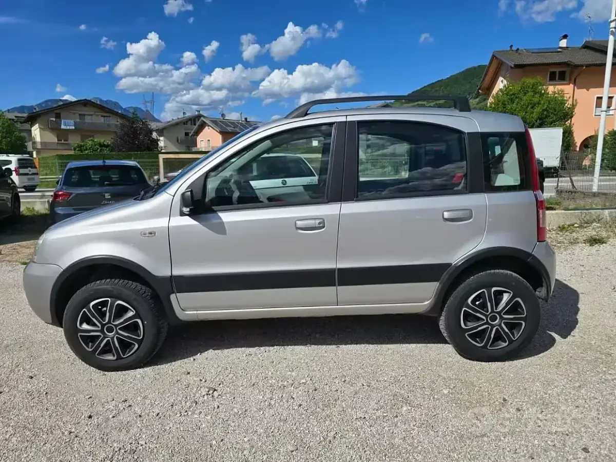 Usata Fiat Panda 4x4 69 CV (50 kW) 2006 Grigio Utilitaria