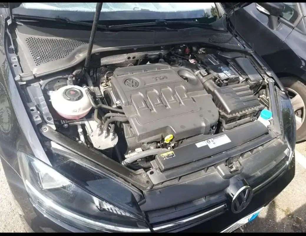 Usata VW Golf VII 105 CV (77 kW) 2018 Cabrio