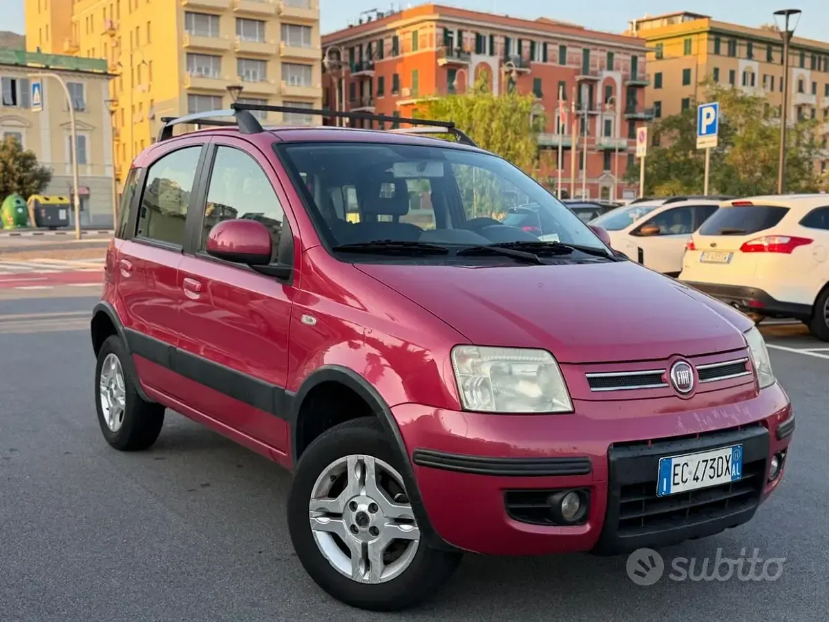 Usata Fiat Panda 4x4 75 CV (55 kW) 2011 Verde Utilitaria