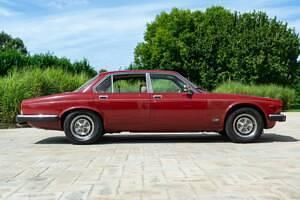 Usata Jaguar XJ6 205 CV (150 kW) 1981 Rosso Berlina