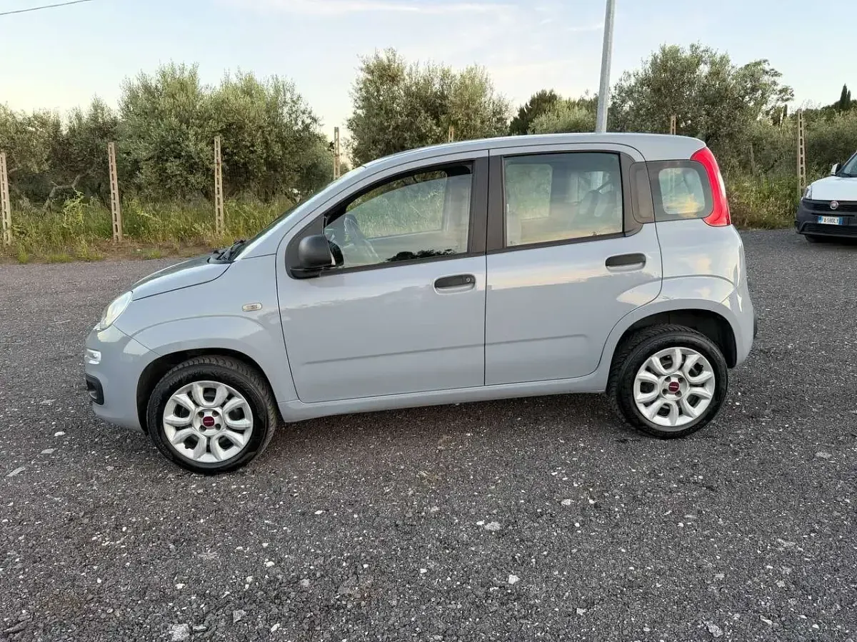 Usata Fiat Panda Easy 80 CV (58 kW) 2018 Grigio Utilitaria