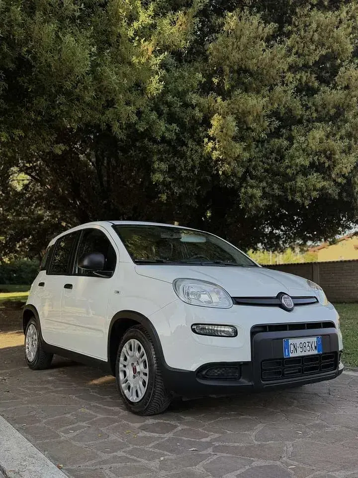Usata Fiat Panda S 69 CV (50 kW) 2023 Bianco Utilitaria