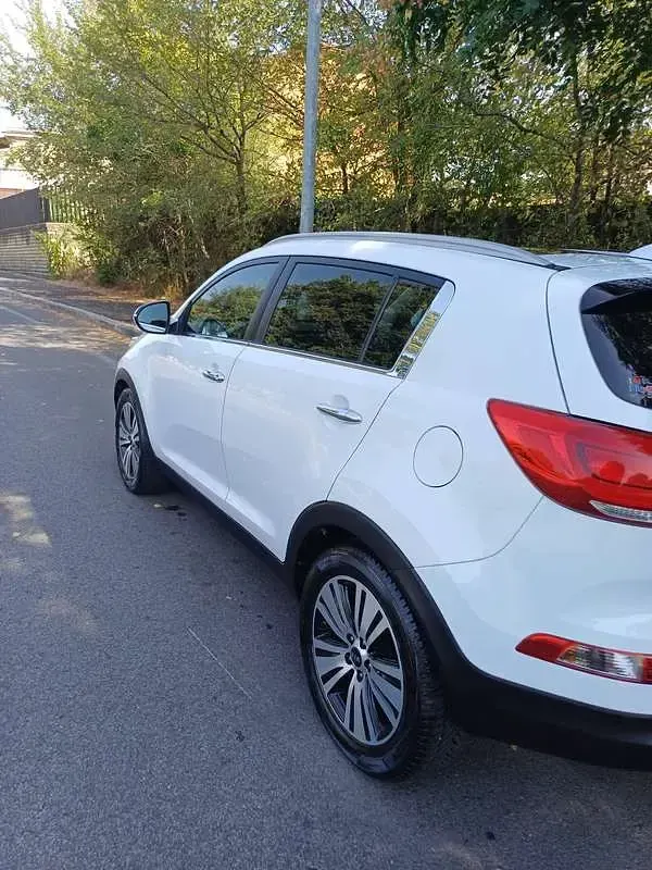 Usata Kia Sportage 116 CV (85 kW) 2014 Bianco SUV