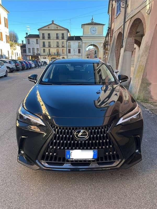 Usata Lexus NX350h 190 CV (139 kW) 2025 SUV