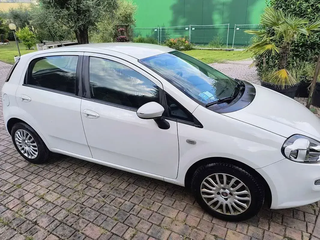 Usata Fiat Punto Street 75 CV (55 kW) 2014 Bianco Utilitaria