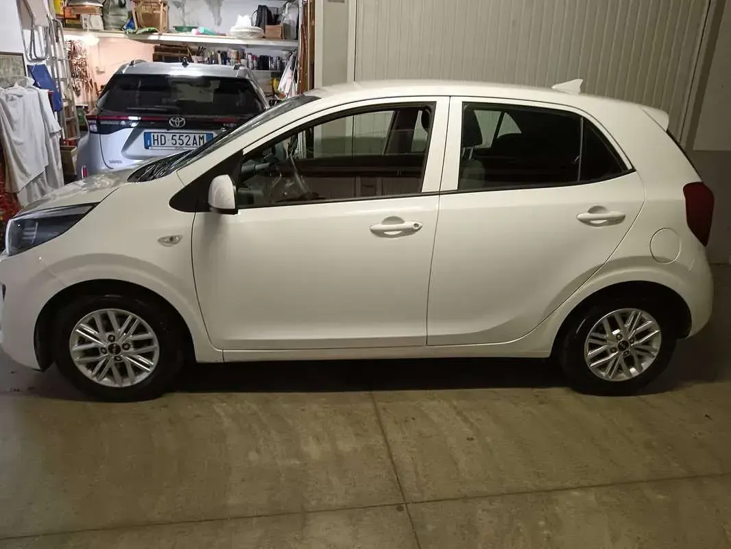 Usata Kia Picanto 67 CV (49 kW) 2023 Bianco Utilitaria