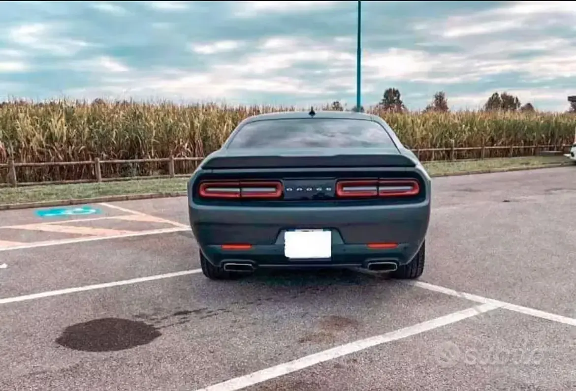 Usata Dodge Challenger 2015 Coupé