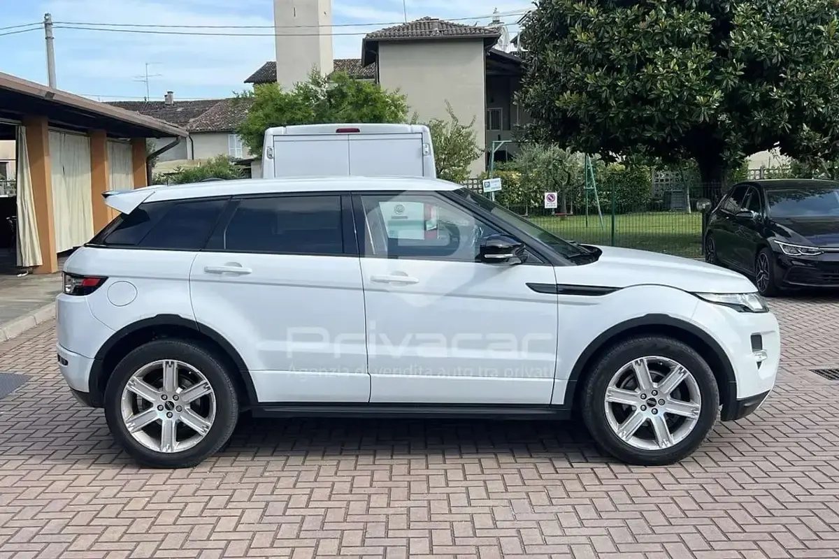 Usata Land Rover Range Rover evoque Dynamic 190 CV (139 kW) 2011 Bianco SUV