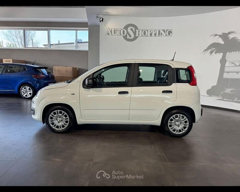 Usata Fiat Panda S 69 CV (50 kW) 2025 Bianco Utilitaria
