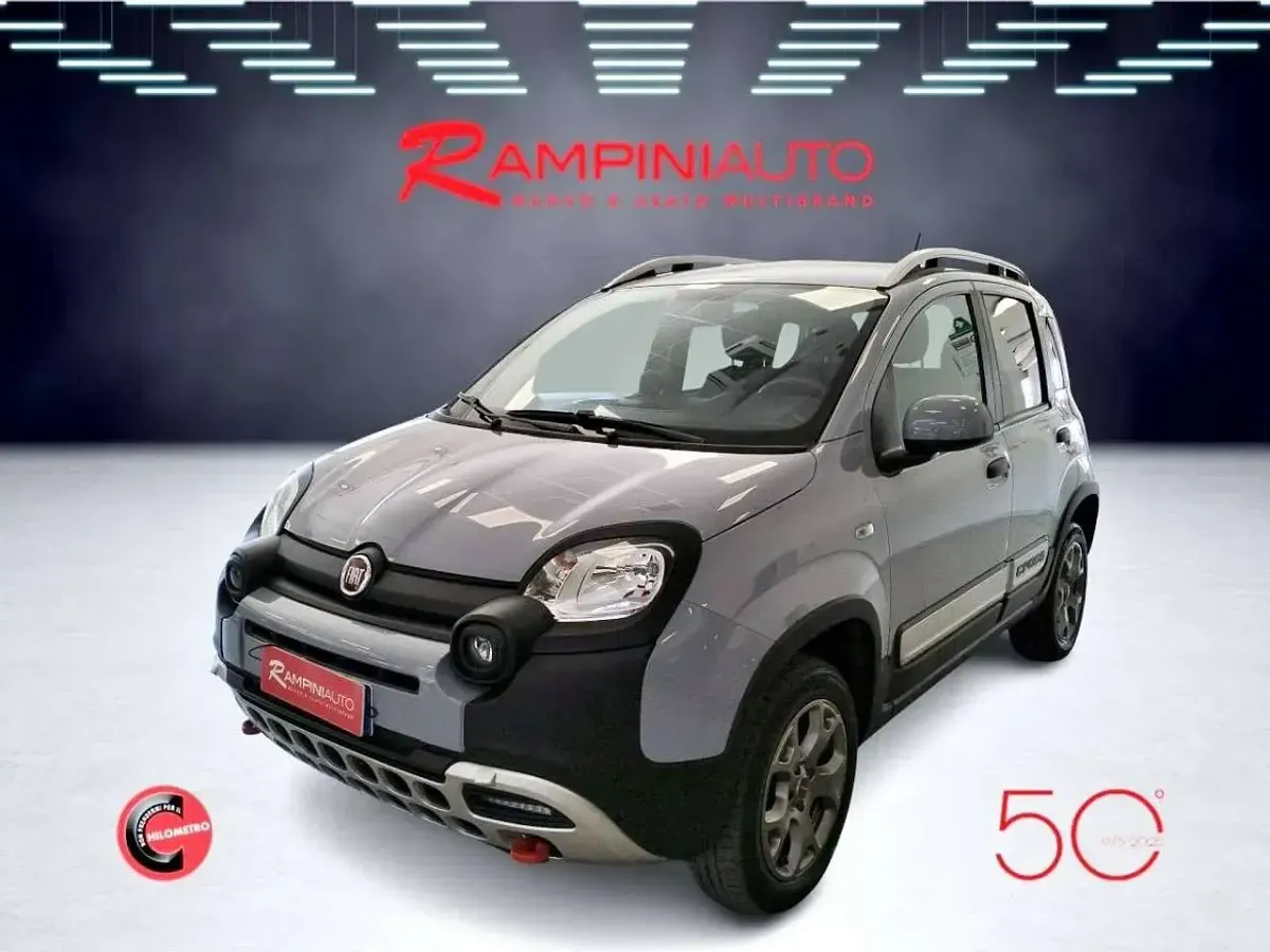 Usata Fiat Panda 4x4 86 CV (63 kW) 2020 Grigio Utilitaria