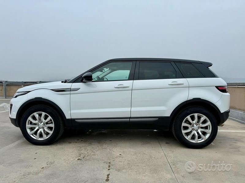 Usata Land Rover Range Rover evoque 150 CV (110 kW) 2018 Bianco SUV