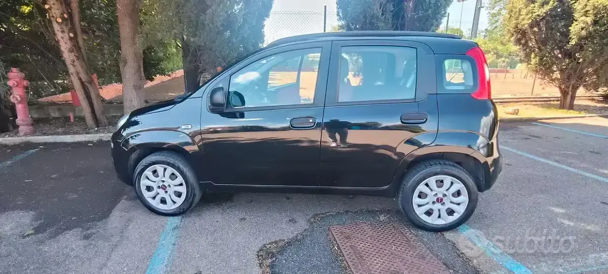 Usata Fiat Panda 85 CV (62 kW) 2014 Utilitaria