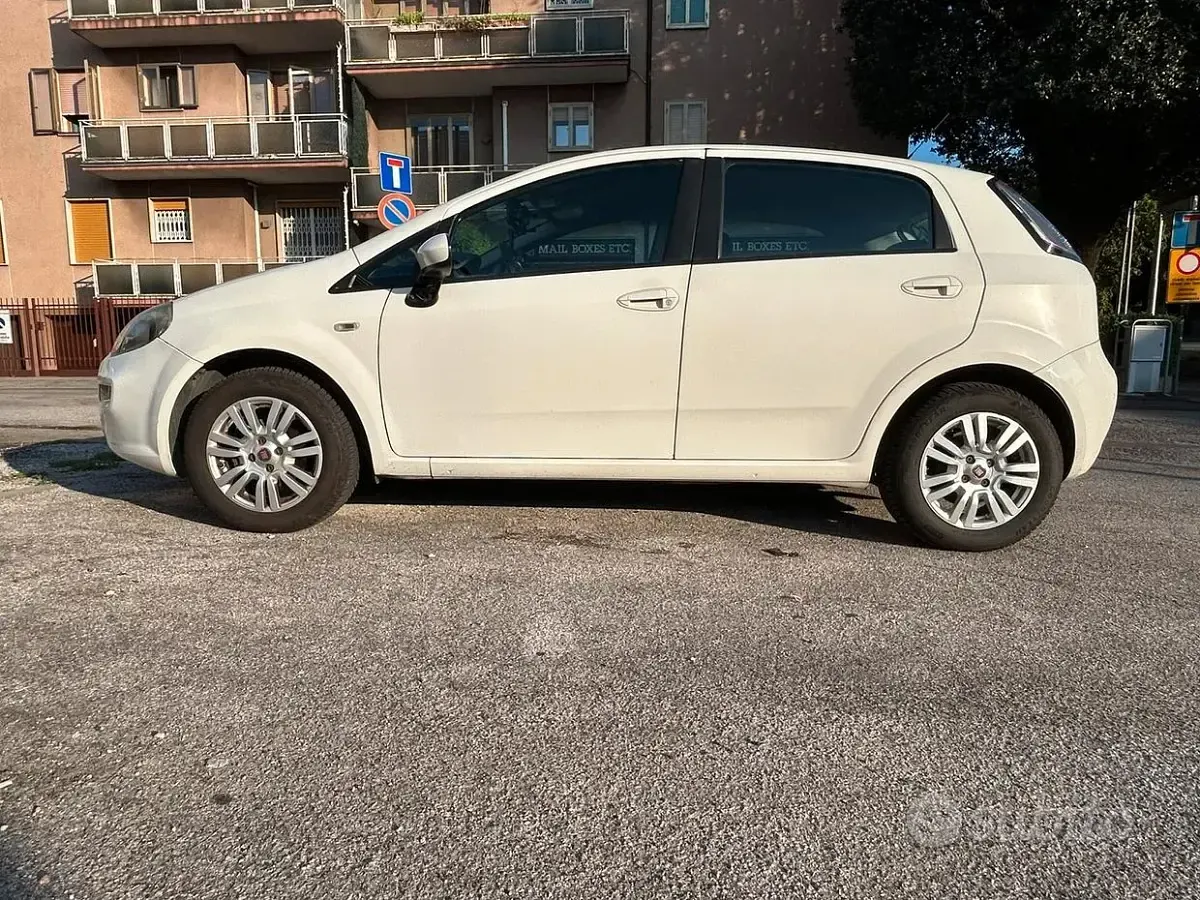 Usata Fiat Punto Easy 77 CV (56 kW) 2014 Bianco Utilitaria