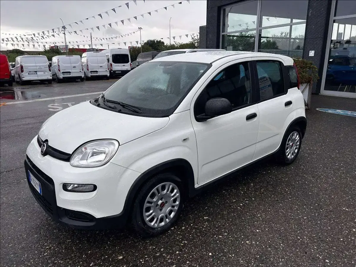 Usata Fiat Panda S 69 CV (50 kW) 2023 Bianco Utilitaria