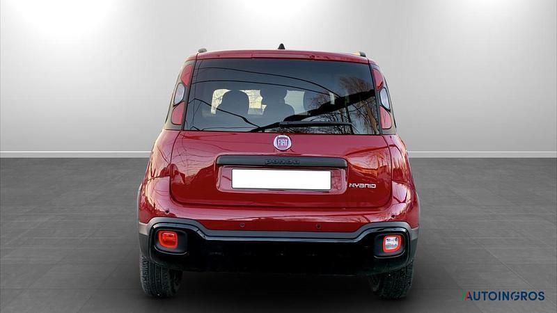 Usata Fiat Panda Cross Cross 69 CV (50 kW) 2025 Rosso Utilitaria