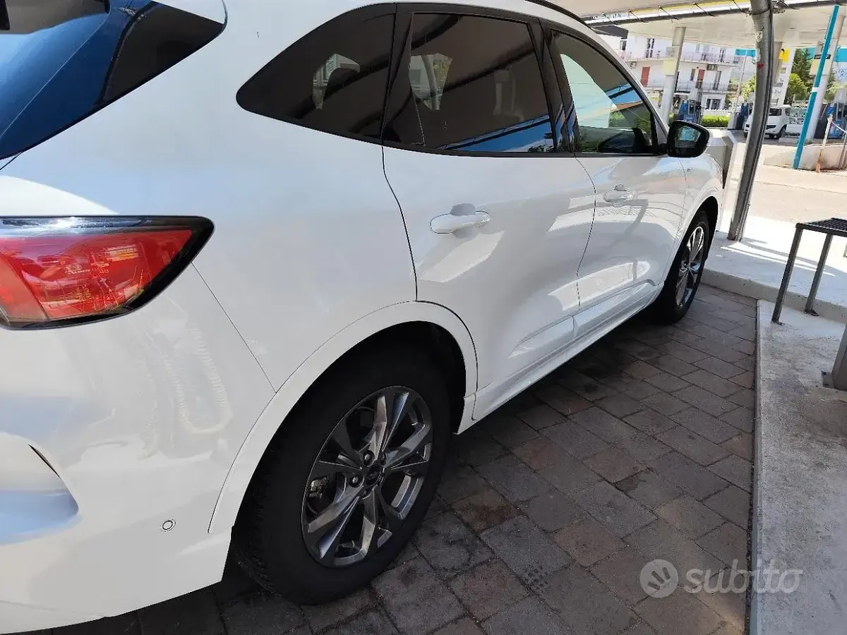 Usata Ford Kuga 120 CV (88 kW) 2020 SUV