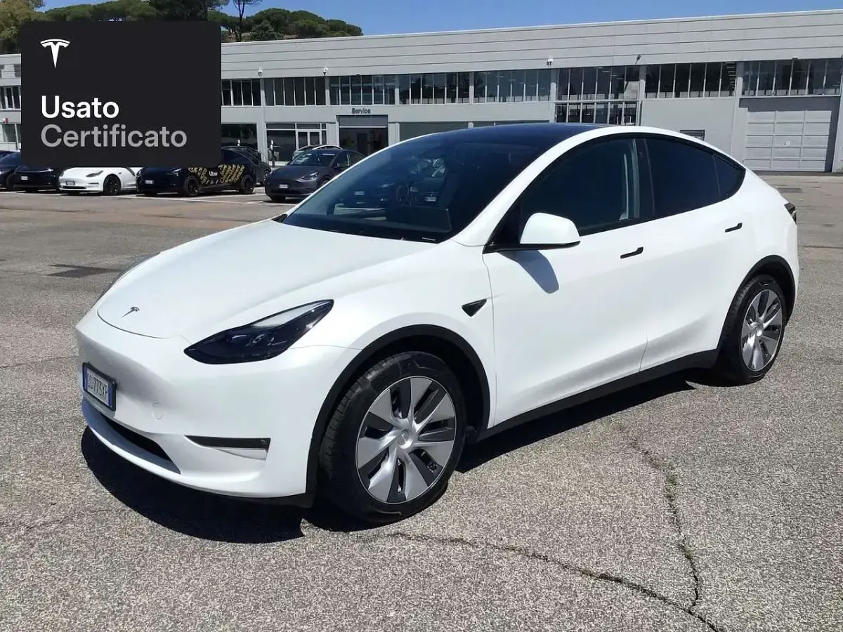 Usata Tesla Model Y Long Range AWD 258 kW (351 CV) 2021 Pearl white multicoat SUV