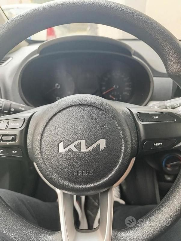 Gebraucht Kia Picanto 67 PS (49 kW) 2024 Weiß Kleinwagen