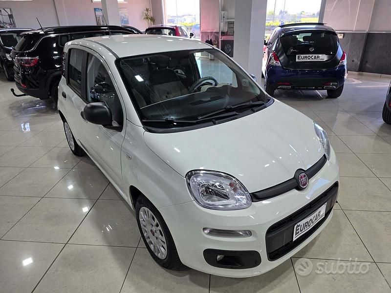 Usata Fiat Panda Lounge 80 CV (58 kW) 2016 Bianco Utilitaria