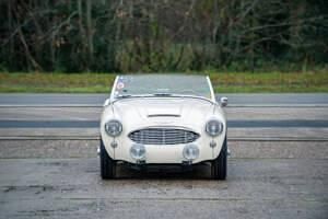 Usata Austin Healey 100/6 102 CV (75 kW) 1957 Bianco Cabrio
