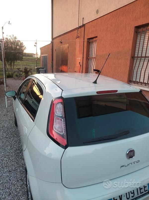 Usata Fiat Punto Evo 85 CV (62 kW) 2014 Bianco Utilitaria