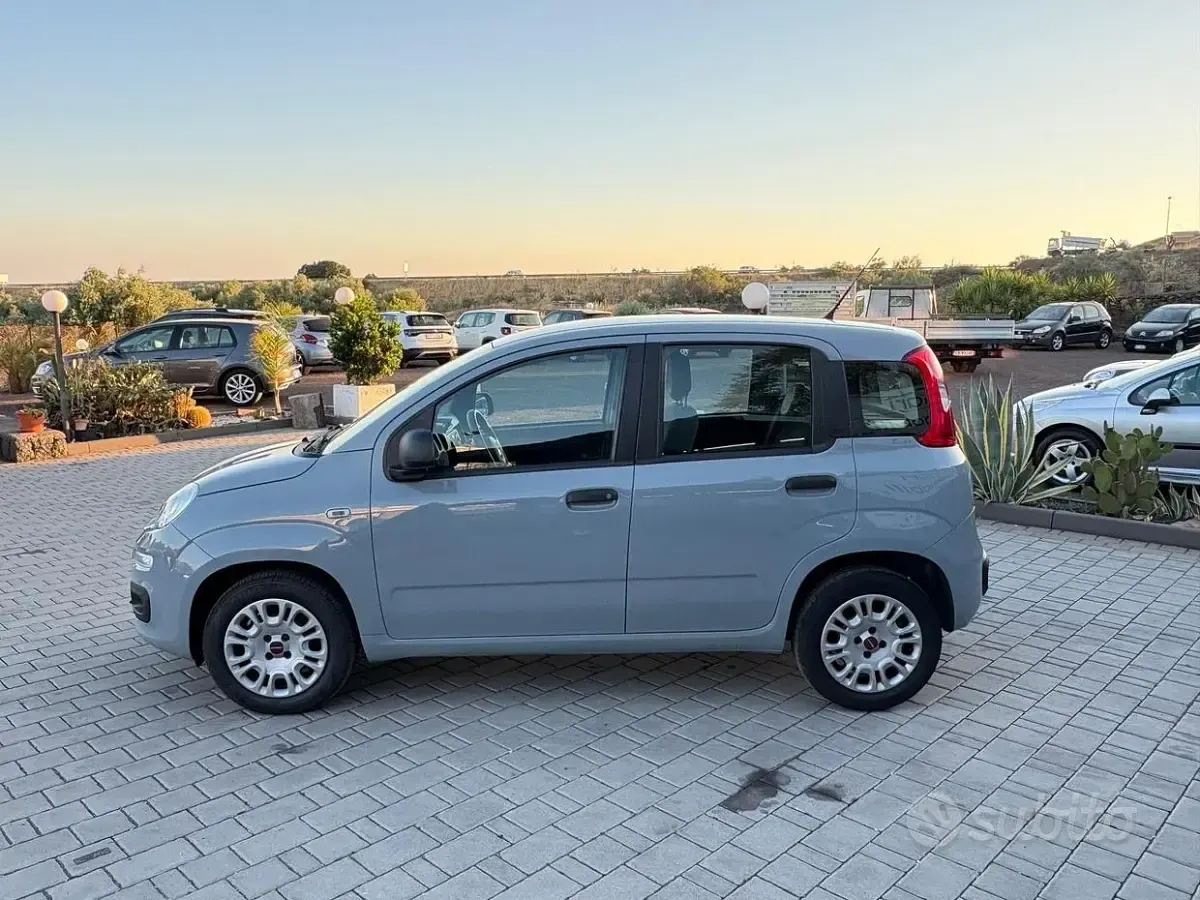 Usata Fiat Panda Easy 69 CV (50 kW) 2019 Grigio Utilitaria