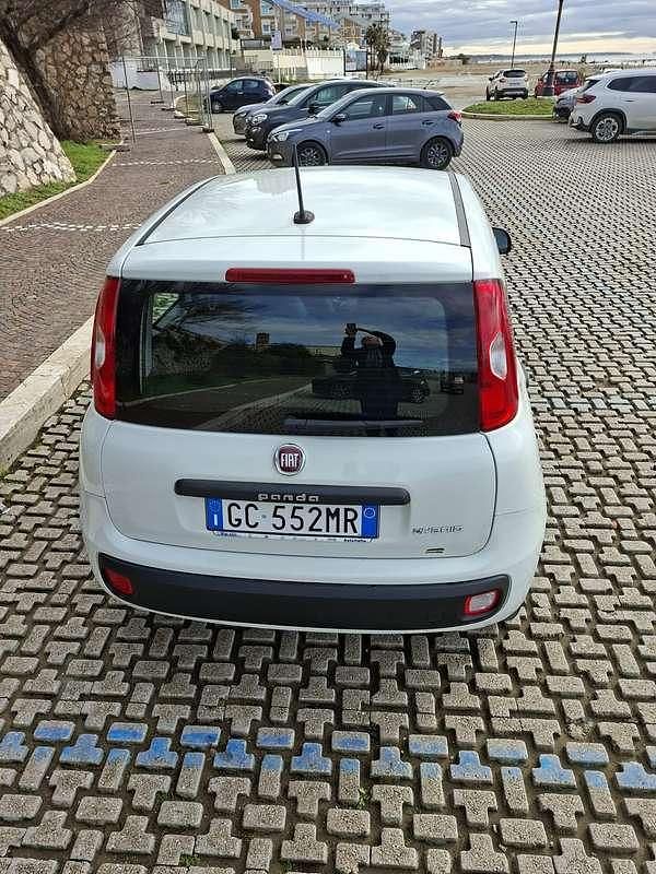 Usata Fiat Panda Easy 69 CV (50 kW) 2020 Bianco Utilitaria