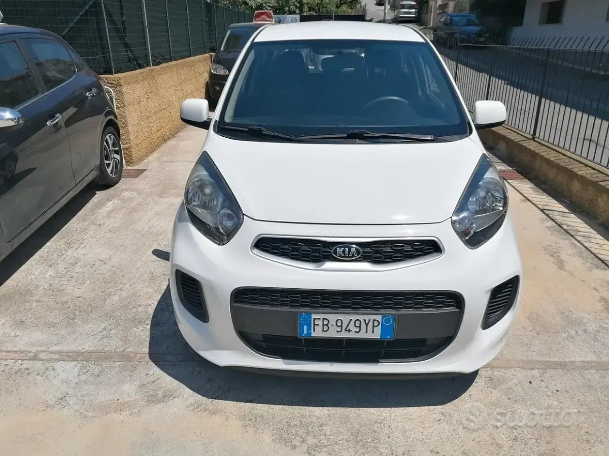 Usata Kia Picanto Active 67 CV (49 kW) 2016 Bianco Utilitaria