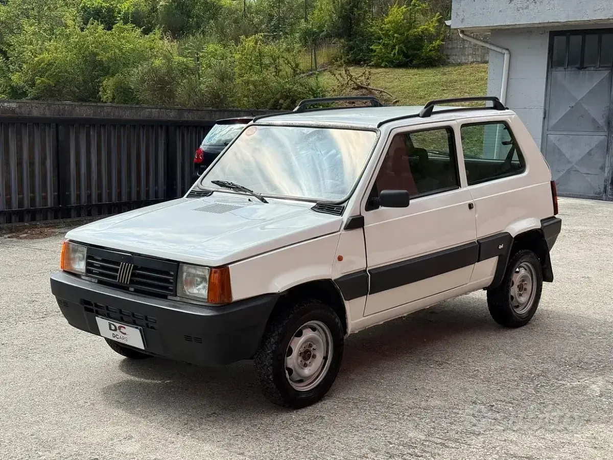 Usata Fiat Panda 4x4 Trekking 54 CV (39 kW) 2003 Utilitaria