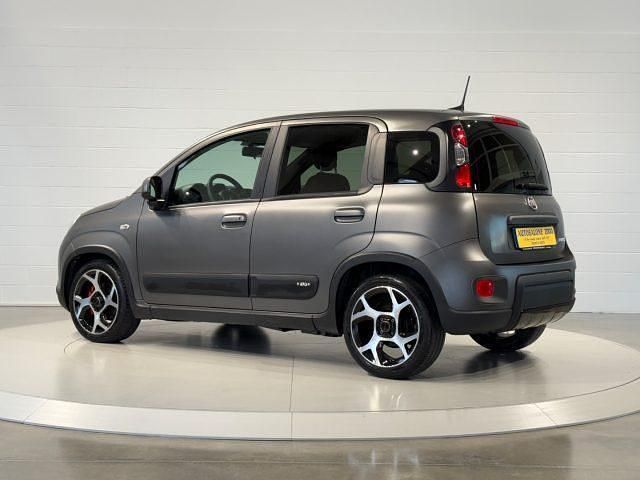 Usata Fiat Panda Sport 69 CV (50 kW) 2020 Grigio Utilitaria